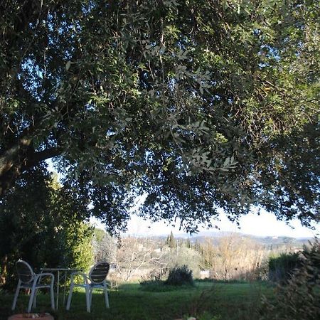 Agriturismo Fattoria Di Malavolta Florence Ngoại thất bức ảnh