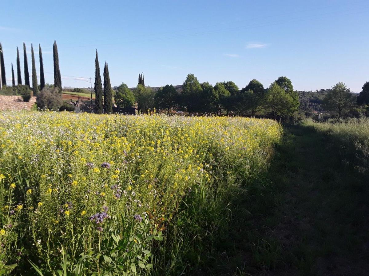 Agriturismo Fattoria Di Malavolta Florence Ngoại thất bức ảnh